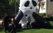 Post image for Black and White: Inflatable Panda!