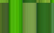 Post image for Green: Endless Grass