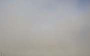 Post image for IMG MGMT: Smog on the Horizon